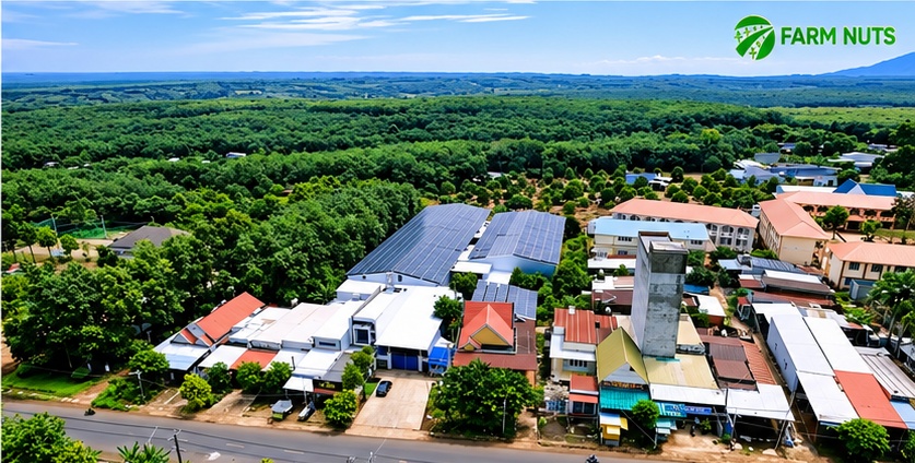 Aerial View of Farm Nuts Factory Campus & Solar Rooftop