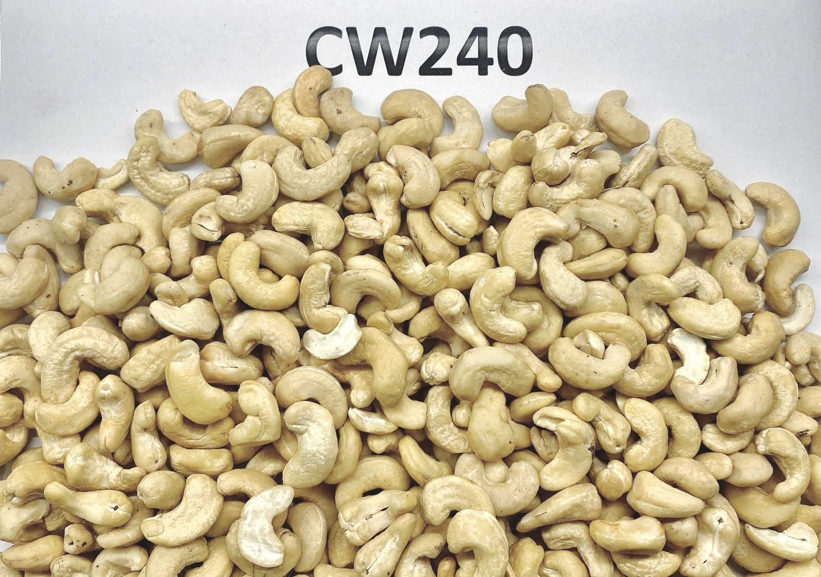 CW240 Color Wholes cashew kernels