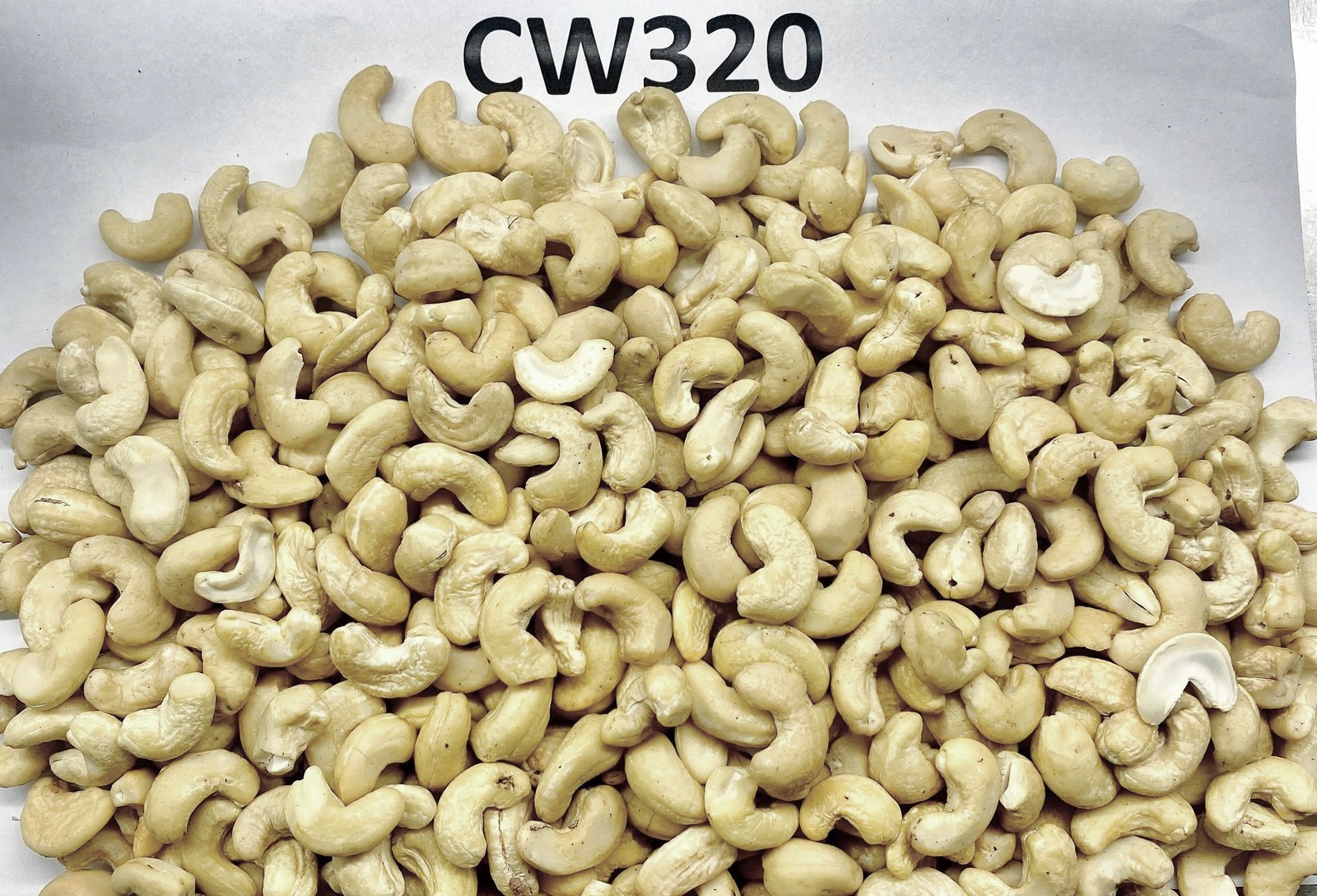 CW320 Color Wholes 320