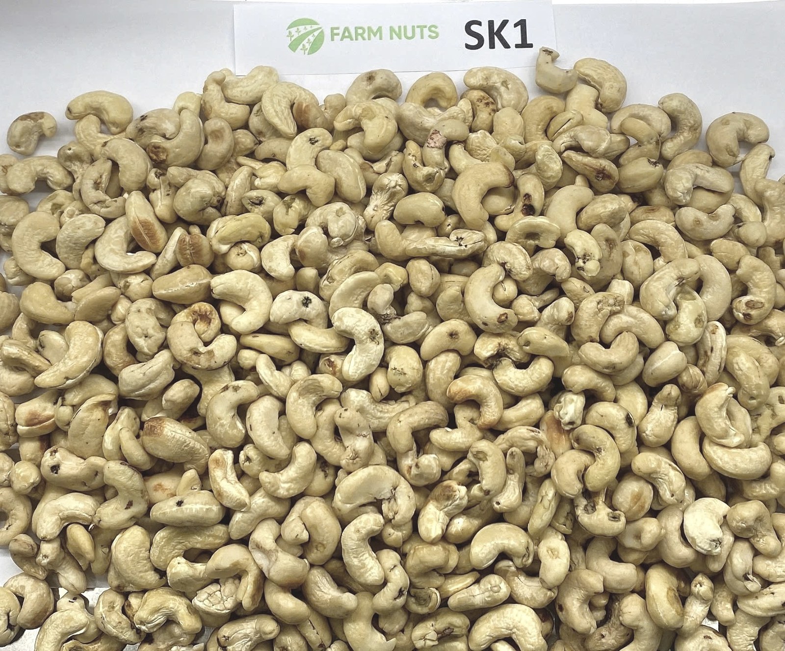 SK1 Scorched Kernel