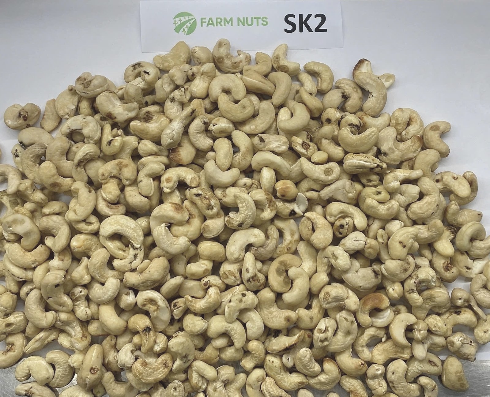 SK2 Scorched Kernel