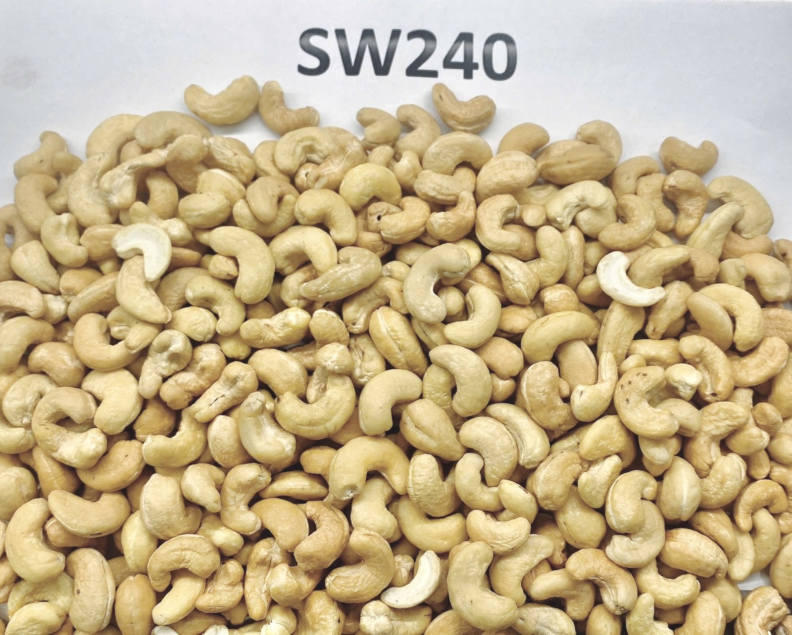 SW240 Scorched Wholes cashew kernels