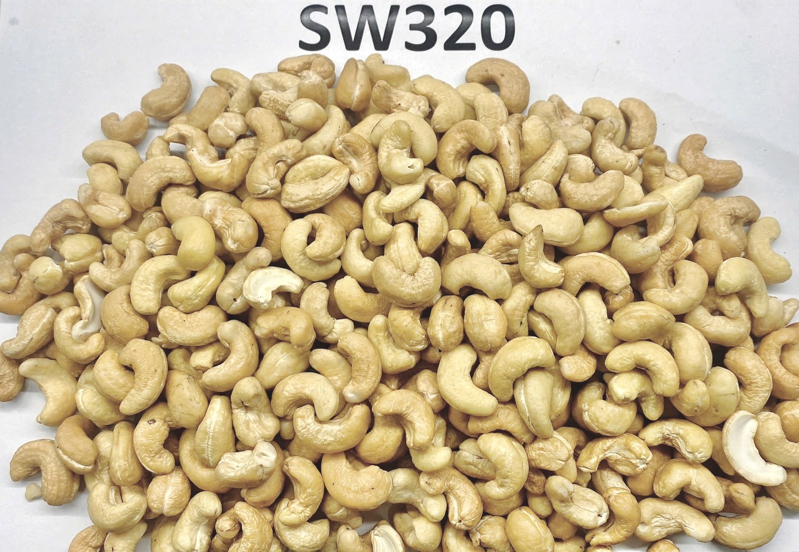 SW320 Scorched Wholes 320