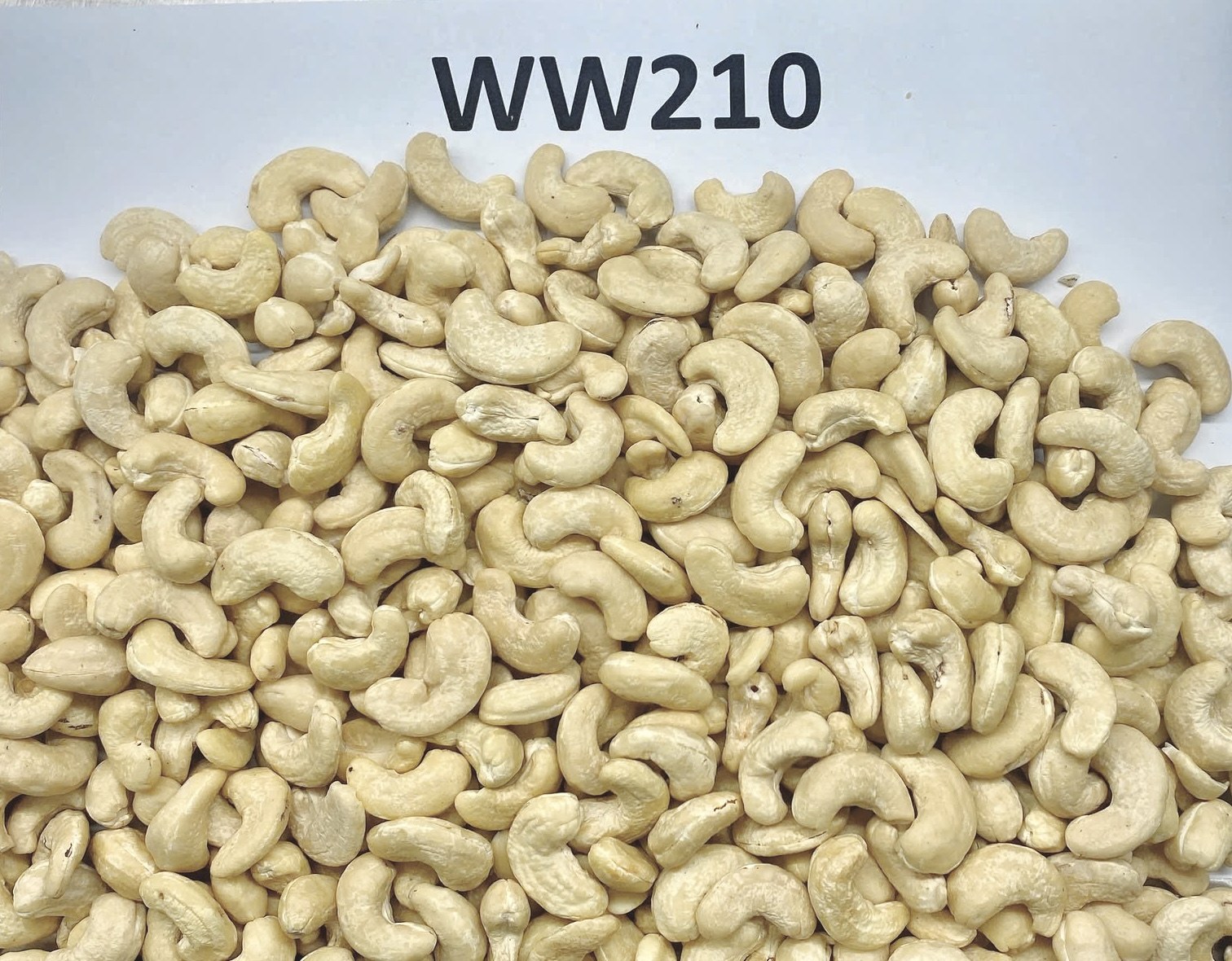 WW210 Jumbo Cashew Kernels