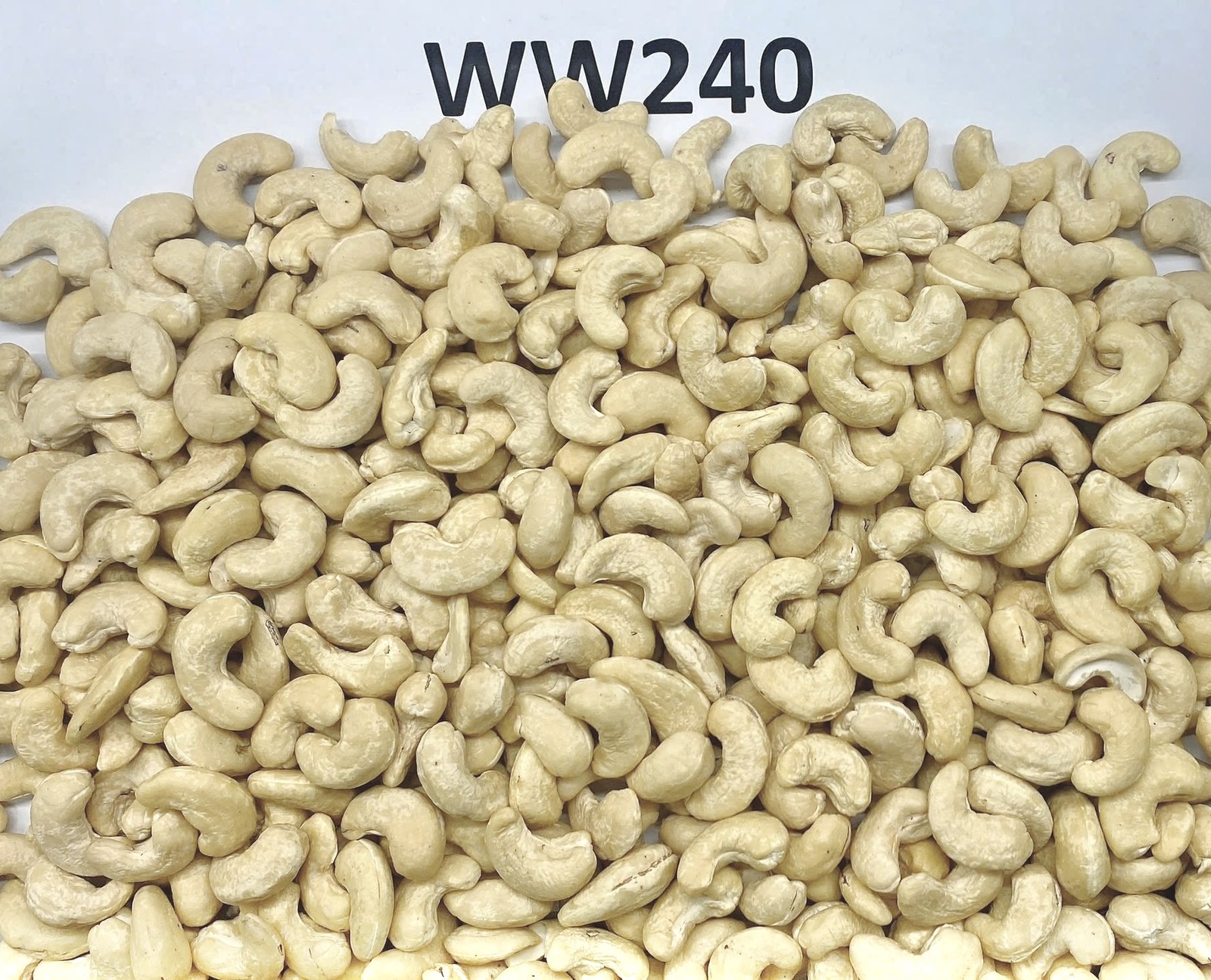 WW240 Premium Large Cashew Kernels