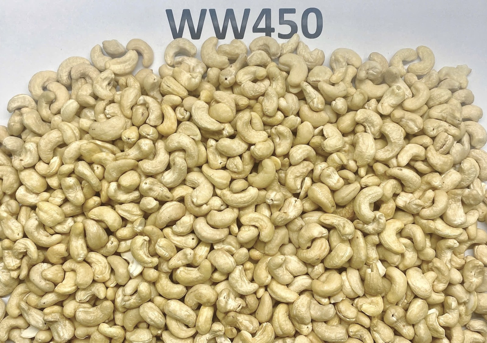 WW450 Economy Whole Cashew Kernels